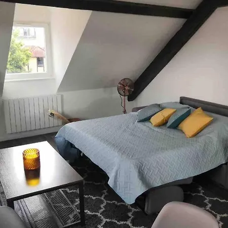 Apartment 4p Hypercentre. Place De Cathedrale